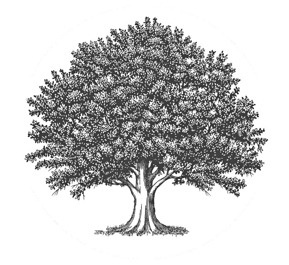 logo-silva-meble